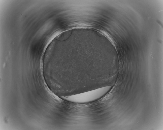 X0000096391243200802141447
