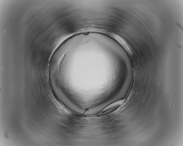 X0000096391244200802141447