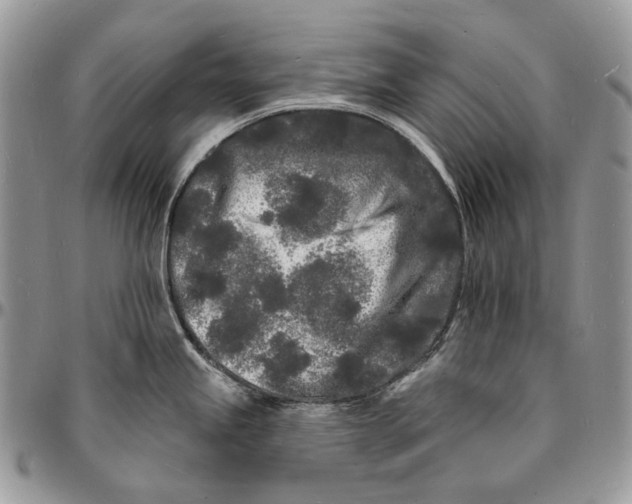 X0000096391245200802141447