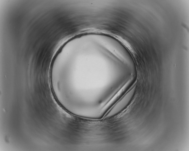 X0000096391247200802141448