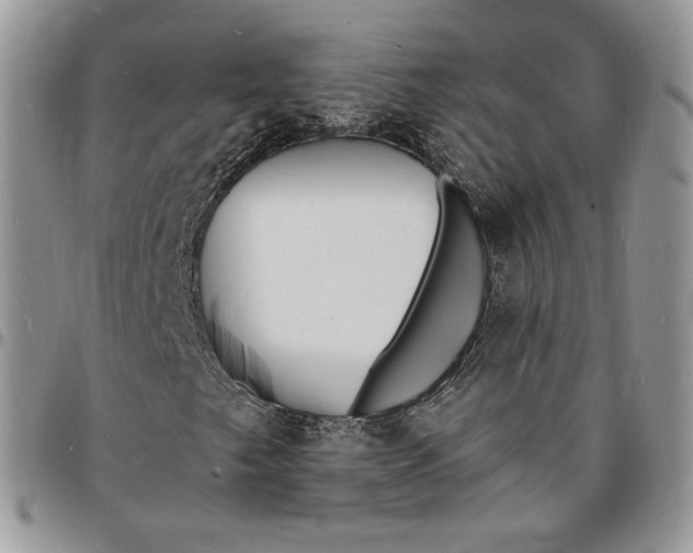 X0000096391249200802141447