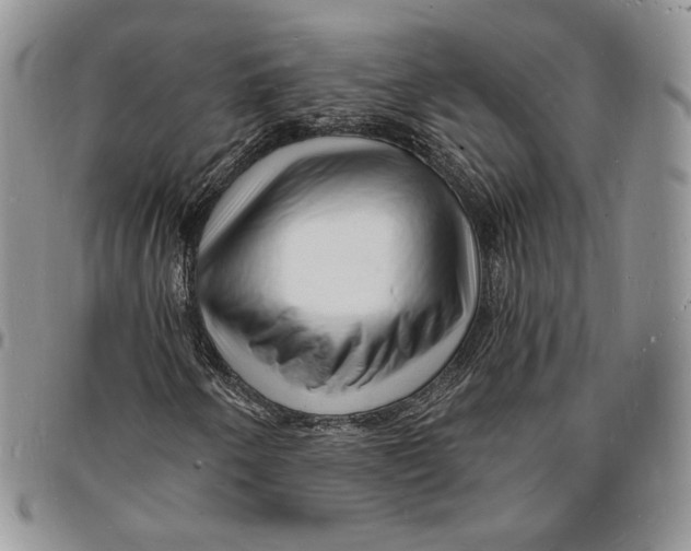 X0000096391250200802141447