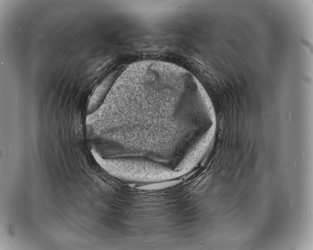 X0000096391252200802141447
