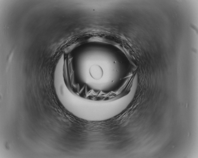 X0000096391253200802141447