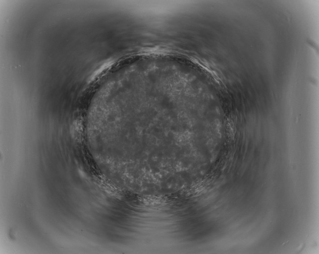 X0000096391254200802141447