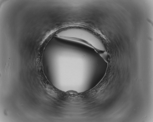 X0000096391256200802141447