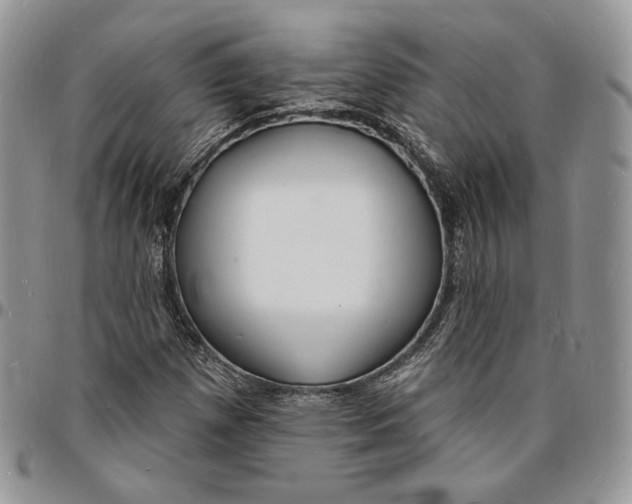 X0000096391257200802141447