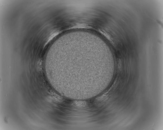 X0000096391258200802141447