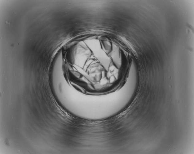 X0000096391260200802141447