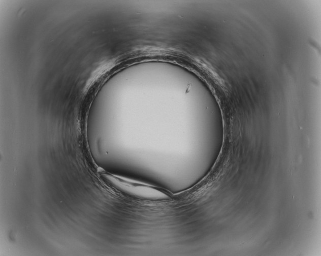 X0000096391261200802141447