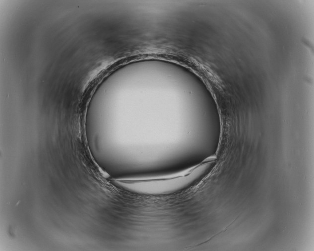 X0000096391262200802141447