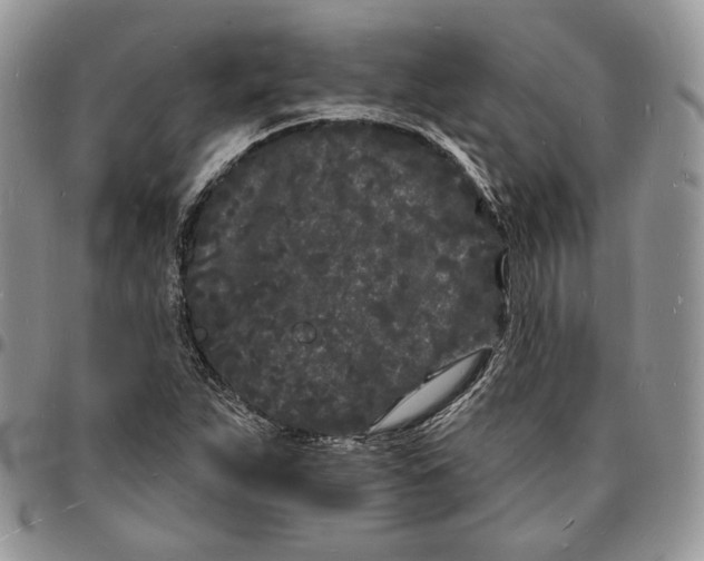 X0000096391263200802141447