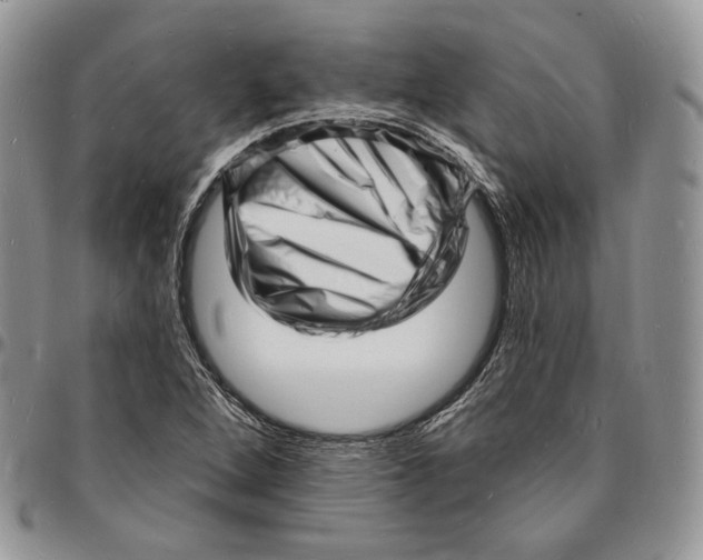 X0000096391264200802141446