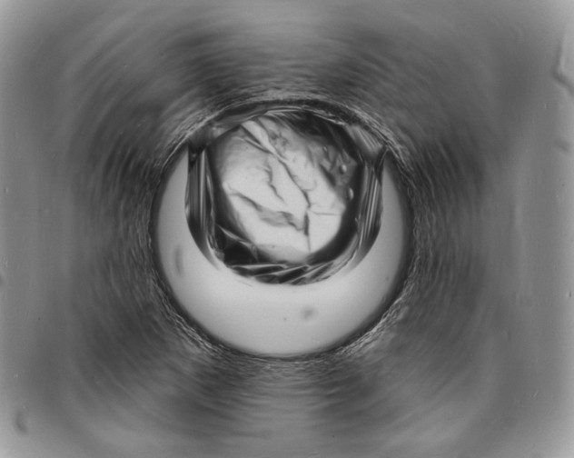 X0000096391265200802141446