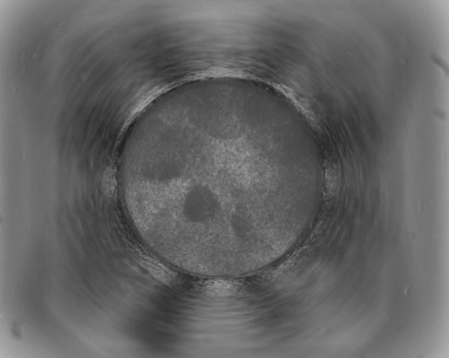 X0000096391266200802141446