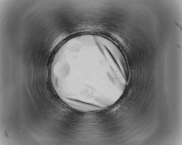 X0000096391267200802141446