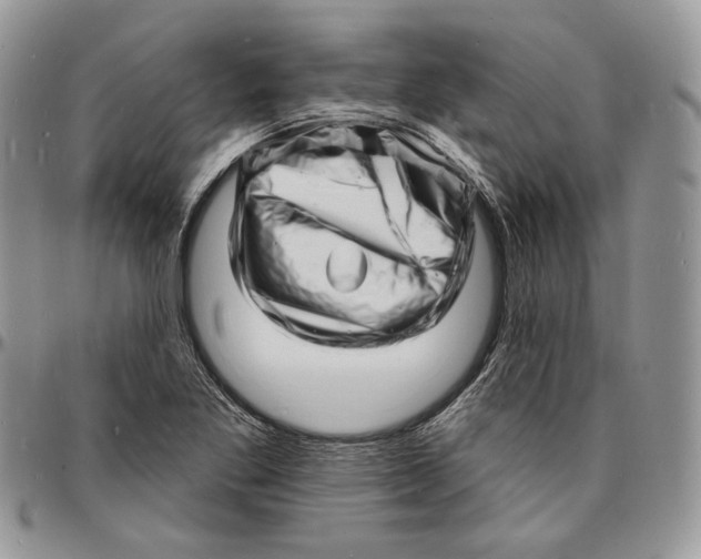 X0000096391269200802141446