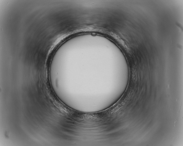 X0000096391270200802141446