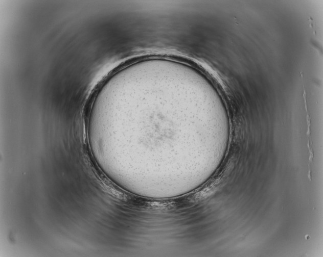 X0000096391271200802141446