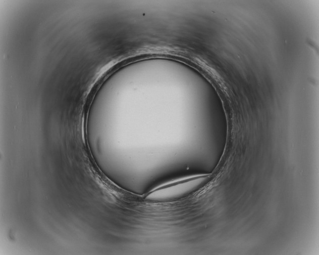 X0000096391272200802141446