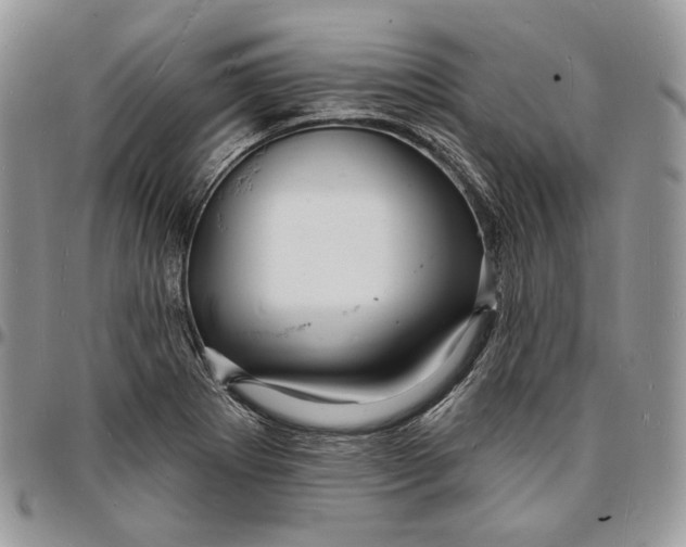 X0000096391273200802141446
