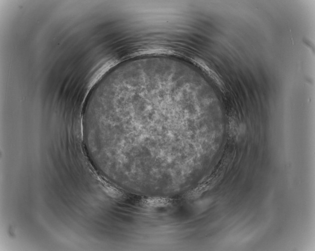 X0000096391274200802141446