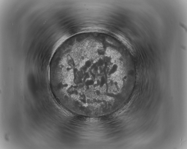 X0000096391275200802141446
