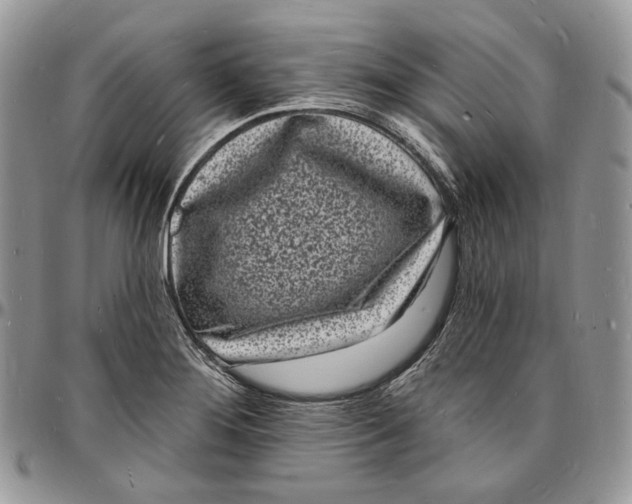 X0000096391276200802141446