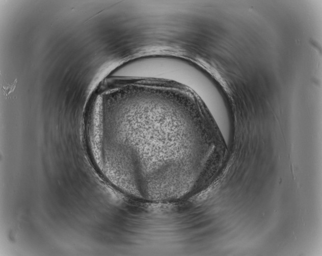 X0000096391277200802141446
