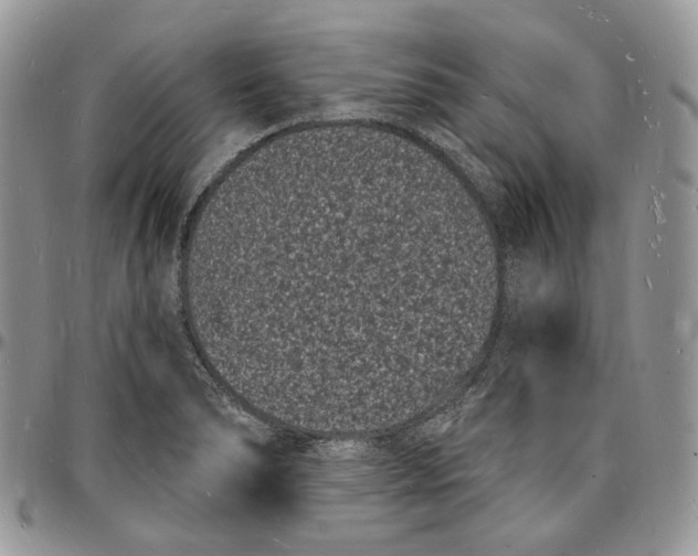 X0000096391278200802141446