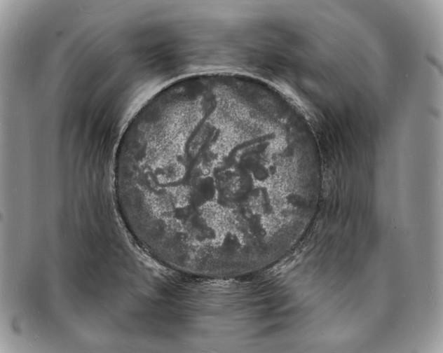 X0000096391279200802141446