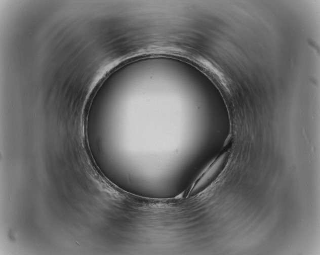 X0000096391280200802141446