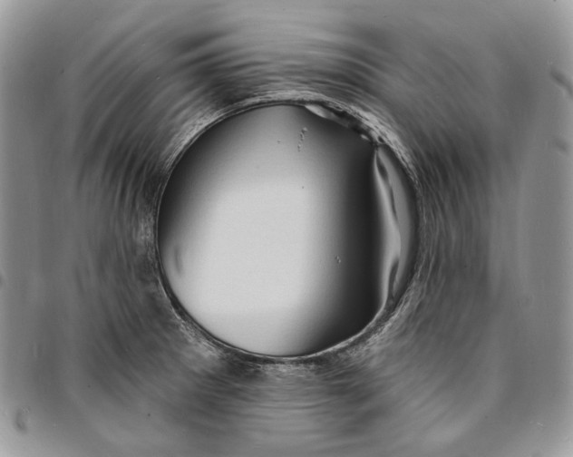 X0000096391281200802141446