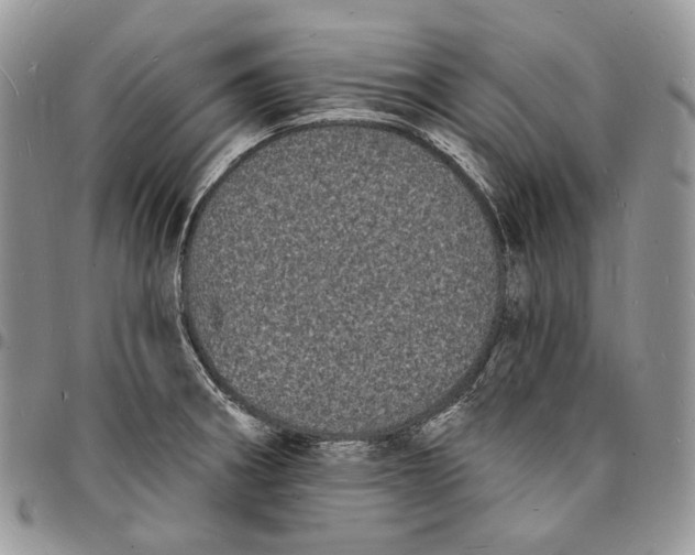X0000096391282200802141446