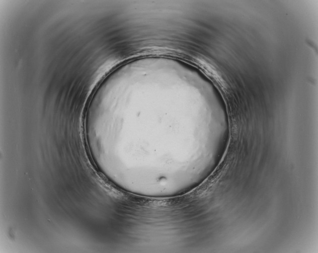 X0000096391283200802141446