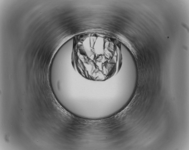 X0000096391284200802141446