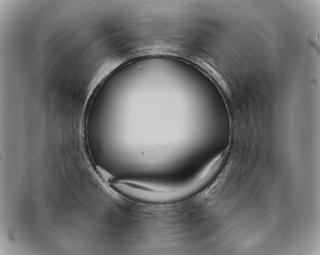 X0000096391285200802141446