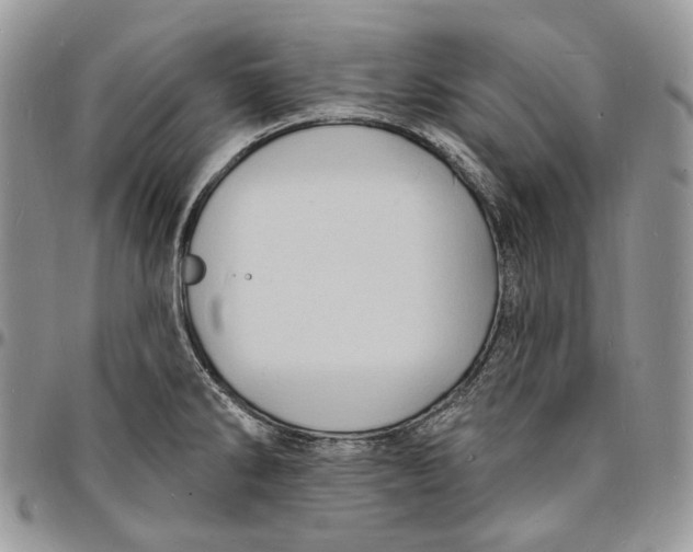 X0000096391286200802141446