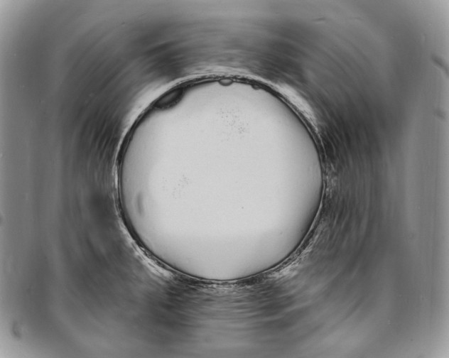 X0000096391287200802141446