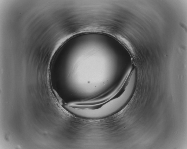 X0000096391288200802141446