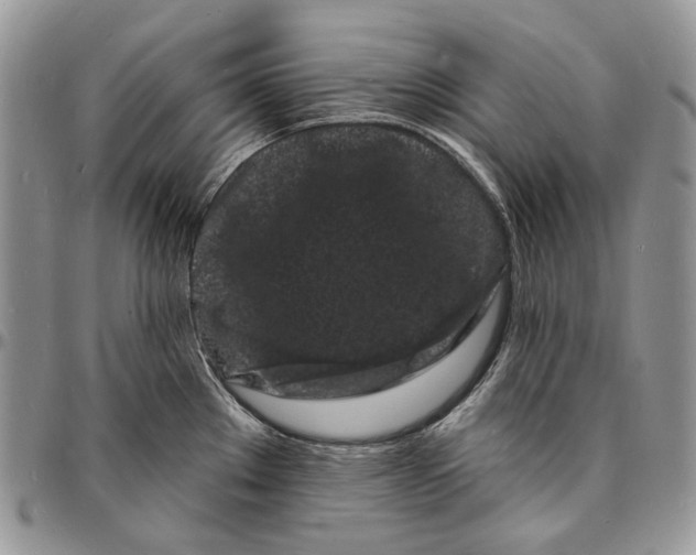 X0000096391289200802141446