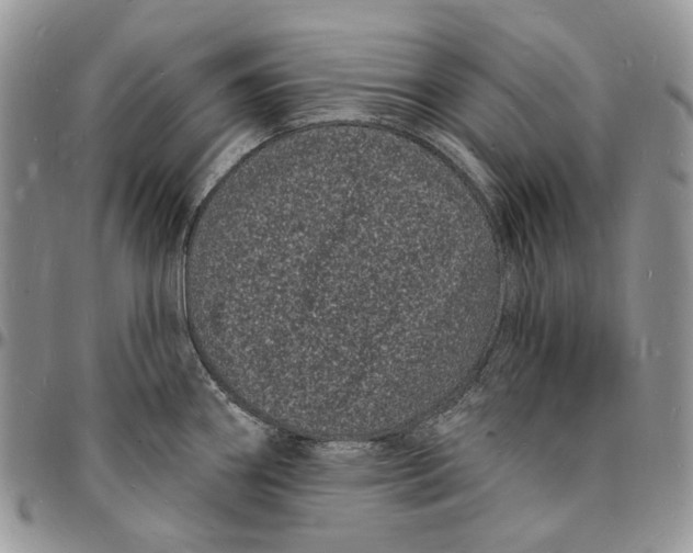 X0000096391290200802141446