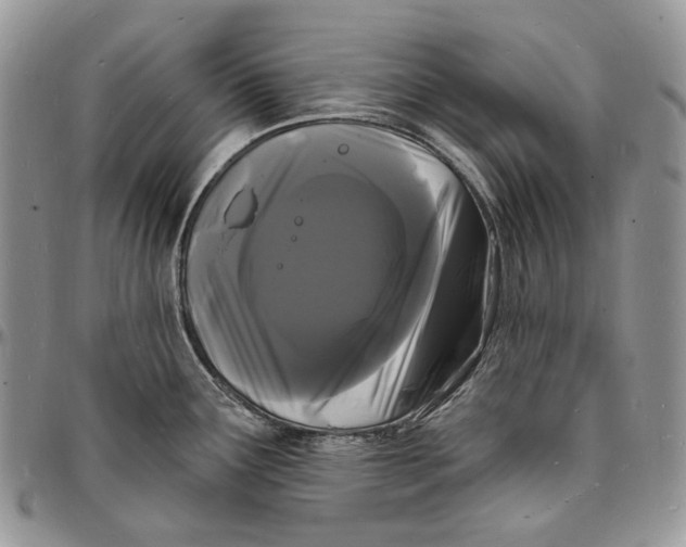 X0000096391291200802141446