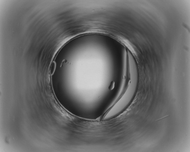 X0000096391292200802141446