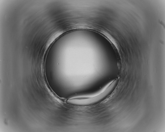 X0000096391293200802141446