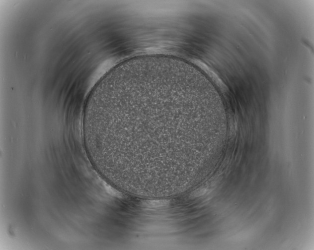 X0000096391294200802141446