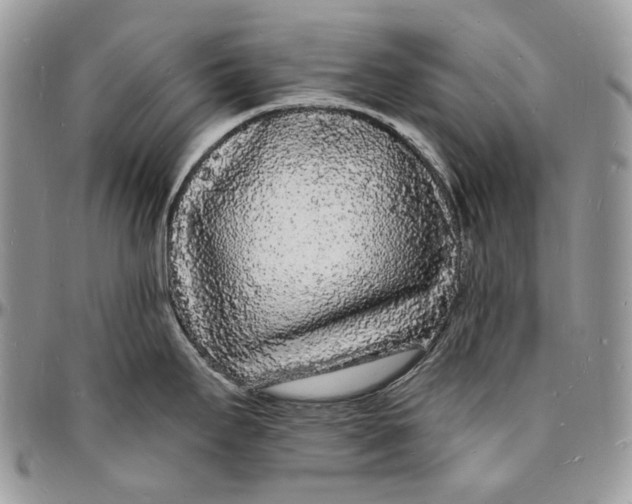 X0000096391295200802141446