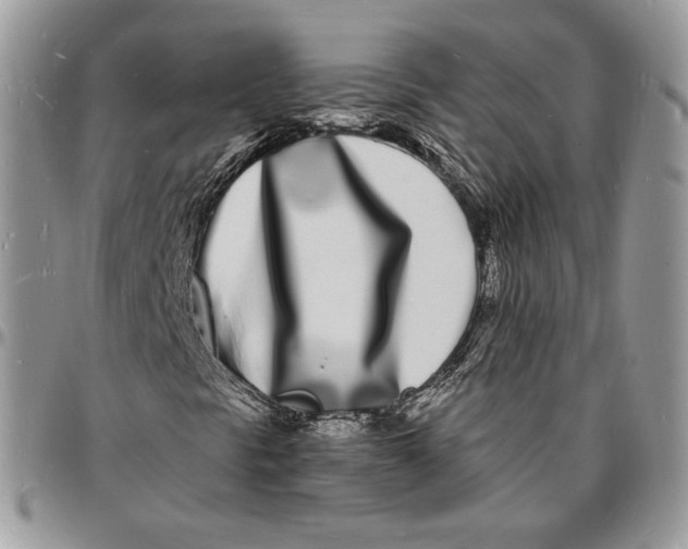 X0000096391297200802141445