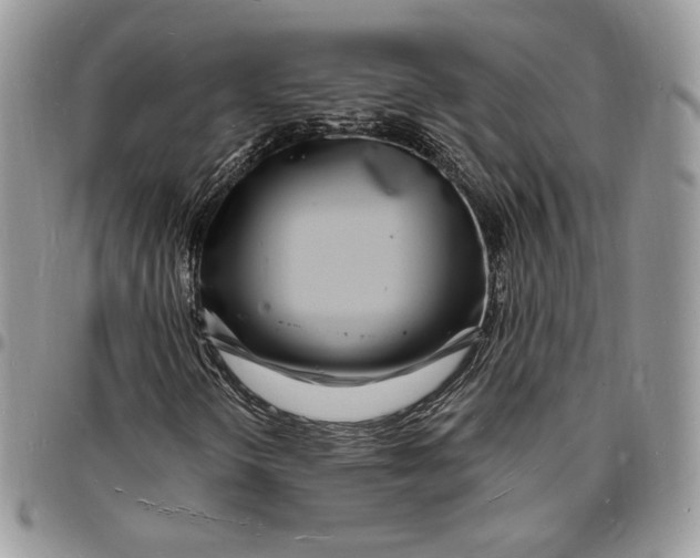 X0000096391298200802141445