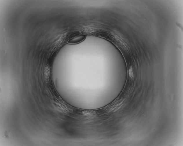 X0000096391299200802141445